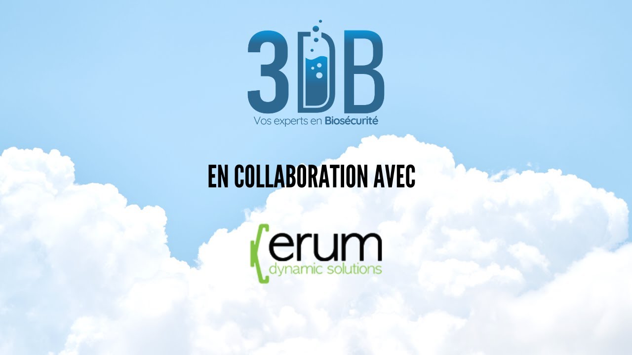 3DB: ERUM