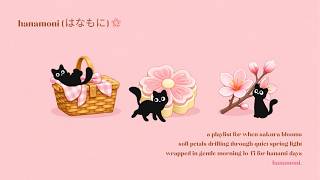 [playlist] lofi seasons | "when sakura blooms" soft spring lofi for hanami days 花見 🧺🌸🍃 screenshot 2