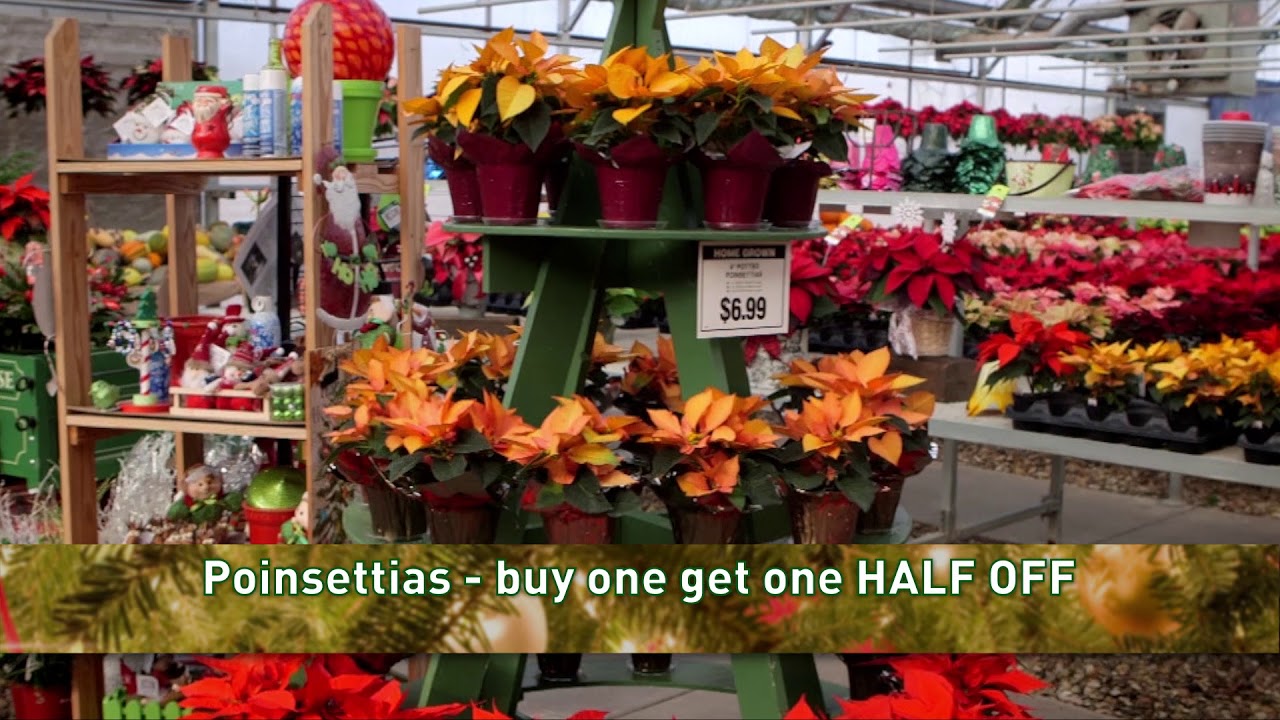 Jolly Lane Greenhouse Holiday Open House 2018 YouTube