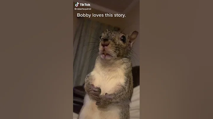 Squirrel love sweet sweet sweet sweetheart squirre...