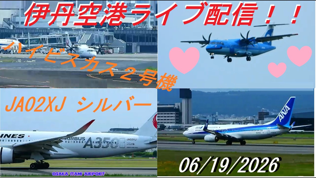 JA02XJシルバー飛来！天草エアライン・みぞか号ライブ配信 生中継