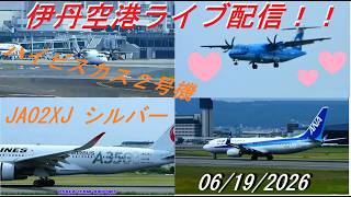 JA02XJシルバー飛来！天草エアライン・みぞか号ライブ配信 生中継