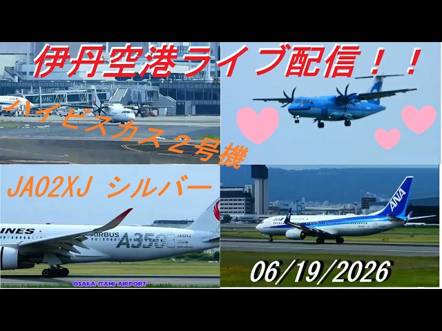 JA02XJシルバー飛来！天草エアライン・みぞか号ライブ配信 生中継