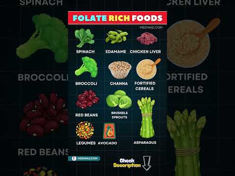 Foods Rich in