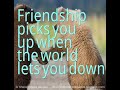 Friendship picks you up when the world lets you down.