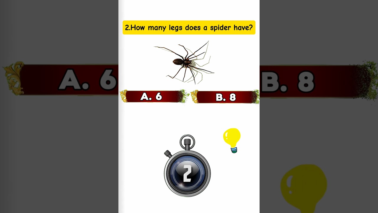 Best Quiz contest for kids // 