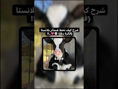 شرح الضمائر يلي بلأنستا اكسبلور شروحات بدون موسيقى فكرتي  شرح 