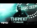 Vigro Deep - Thando (Visualizer) ft. Njabulo_RSA