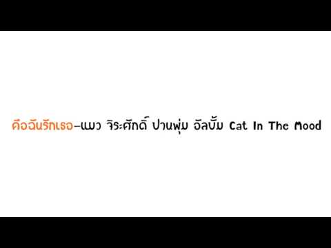 คือฉันรักเธอ-แมว จิระศักดิ์ (In The Mood)