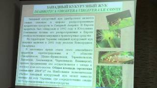 Защита растений: доклад Клечковского Ю.Д.: Прогноз вредителей при помощи ГИС(Клечковский Ю.Д.: Прогноз вредителей при помощи ГИС. Доклад на Конференции ВПРС МОББ (сентябрь 2013, Одесса)...., 2013-09-18T20:16:40.000Z)