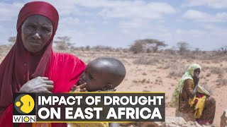WION Climate Tracker | 20 million people on brink of starvation across East Africa screenshot 5