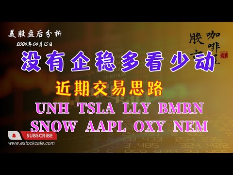 指数没有企稳 多看少动 个股分析 OXY NEM BMRN LLY SOXX UNH AAPL TSLA SNOW 【视频第646期】04/15/2024