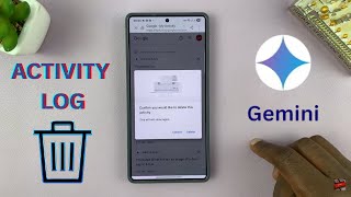 How To Delete Gemini Activity Log