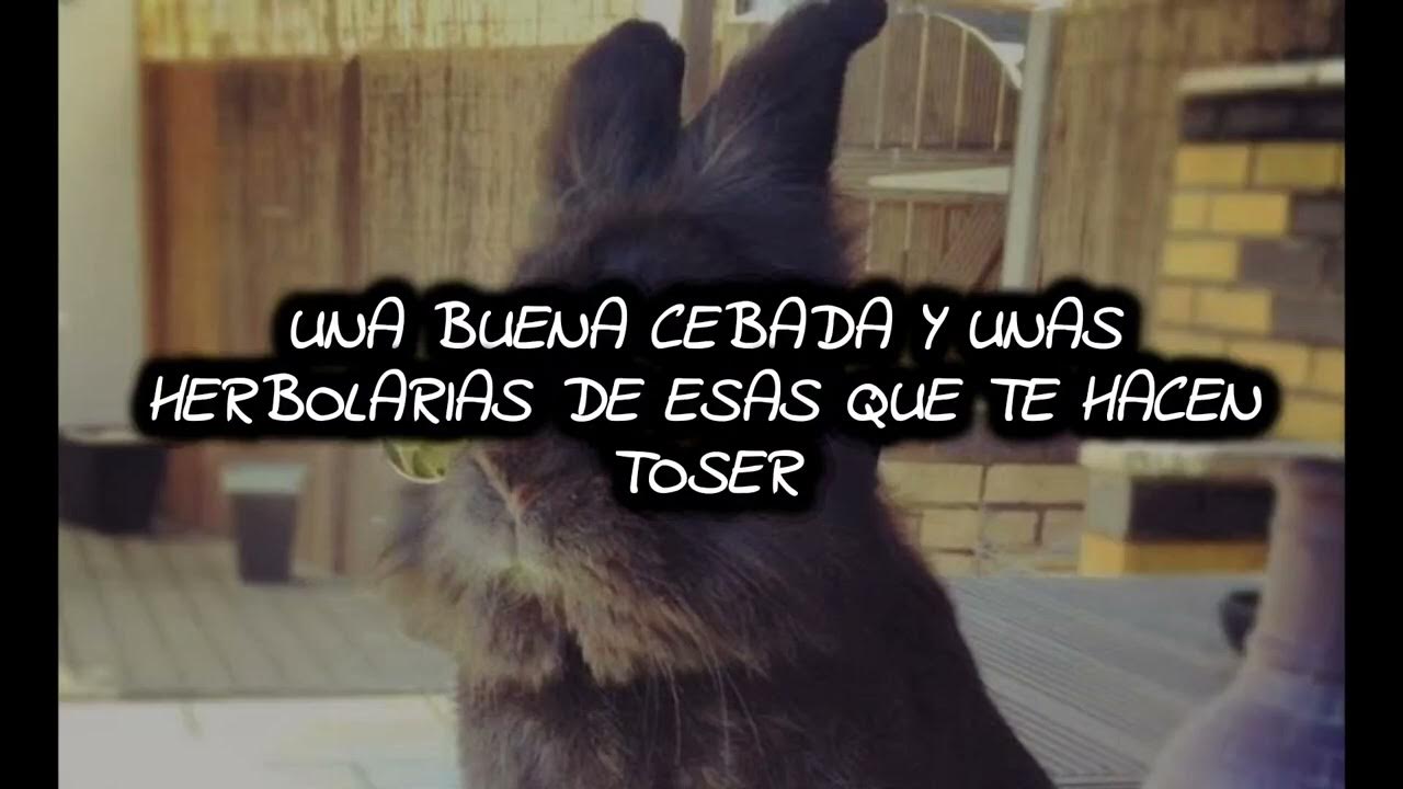 LA SANTA GRIFA(+_+)EN EL AVION(LETRA) - YouTube