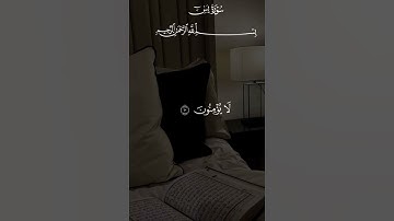 سورة يس بصوت جميل جداً 🔋🤲 #shortvideo #اكسبلور #الرحمن #دويتو #duet