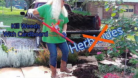 Kill Weeds With Cardboard