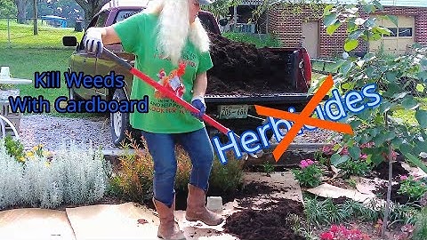 Kill Weeds With Cardboard