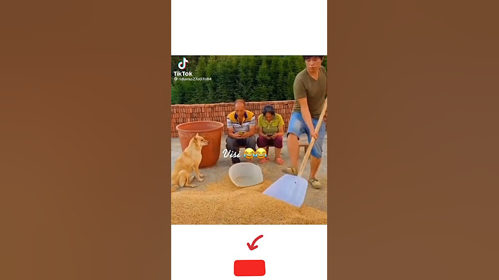 IQ LEVEL 10000%@@SUBSCRIBE MORE VIDEO