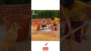 Iq Level 10000% More Video