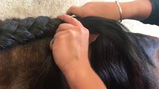 How to braid the long mane - tutorial braiding/plaiting video