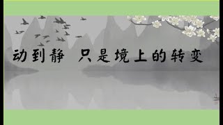 动到静只是境上的转变（无明系列：妄想分别执着类，分别）