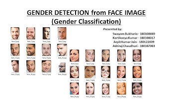 Gender Classification EE626 Project | IITG