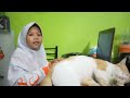 WHAT?!.. Kocheng.. | Sekolah