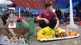 Pirimitive Wild: Picking Wild Vegetables To The Market To Sell, Take Care Of Dogs