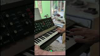 J.S. Bach's Air on the G string - Minimoog Version | Bruno Erminero