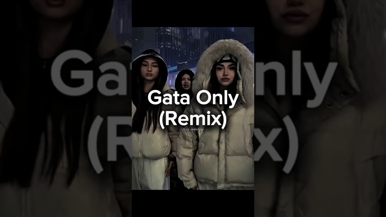 Tiktok Viral Trend | Gata Only(Remix)