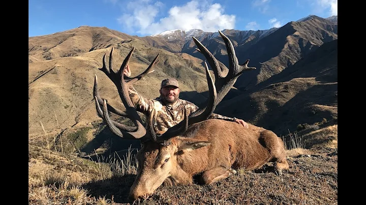 HUNTING GIANT RED STAGS IN NEW ZEALAND