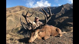 HUNTING GIANT RED STAGS IN NEW ZEALAND
