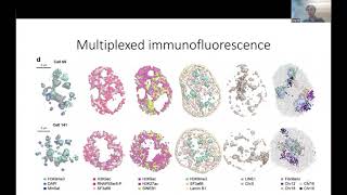 Integrated spatial genomics reveals invariant features in the nucleus | Prof. Long Cai | SCP2021