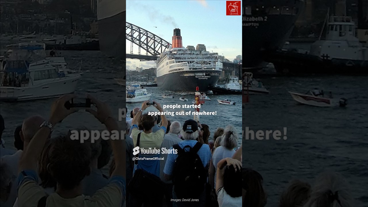 Why two Ocean Liners caused a GRIDLOCK in Sydney? #shorts