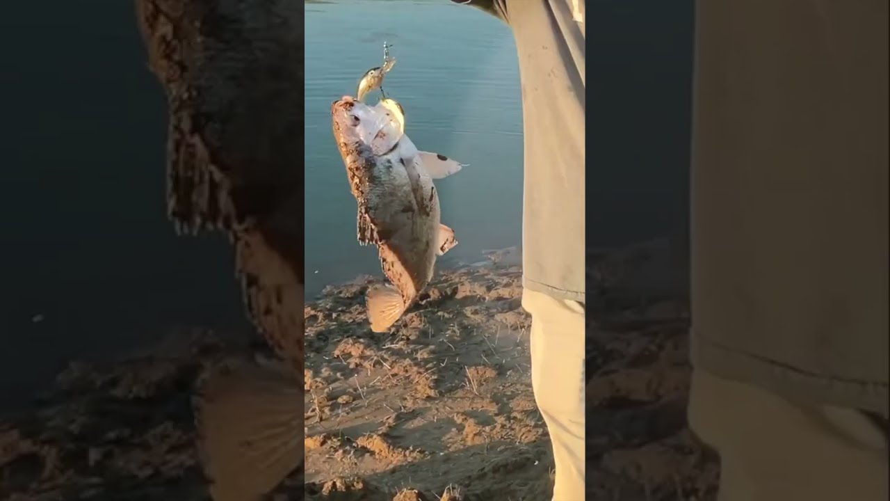 Gaspergou, Fishing Lake Travis with Bumpy Roads RV Life YouTube