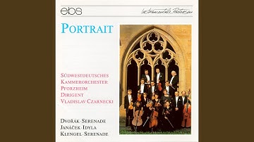 Idyll, JW VI/3: II. Allegro - Moderato - Allegro