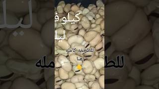 الفول المدمس فى الحله باسهل طريقه