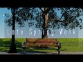 [Japanese Music Video] Late Spring Walk