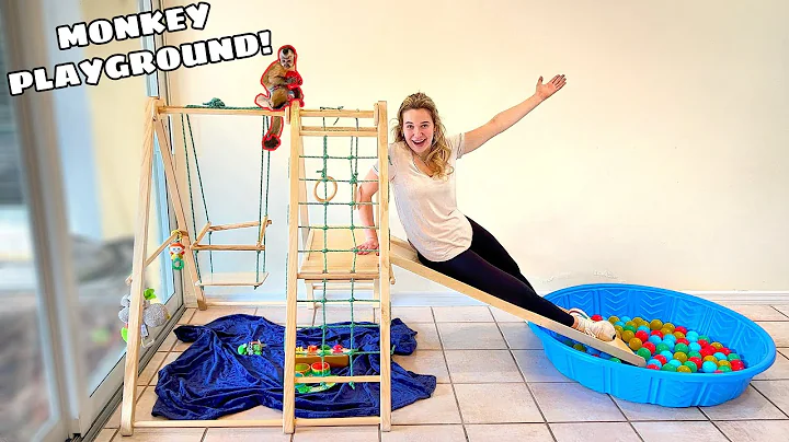 NEW GIANT PLAYGROUND FOR BABY MONKEY! WILL HE LIKE...