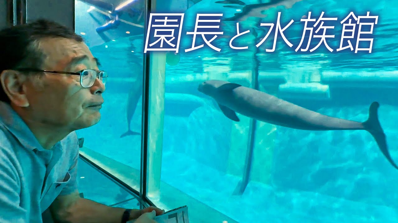 普段は見れない裏側も！？伊藤園長と一緒に水族館へ出張してきました！【マリンワールド海の中道】