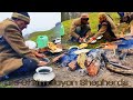 Himalayan Shepherds, Gaddi in Himalayas ||They Live in Himalayan Forest || Shepherd life