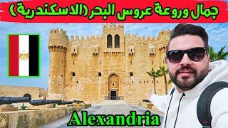 جولة ولا أروع في أجمل معالم الأسكندرية - 2022 Alexandria Egypt city tour
