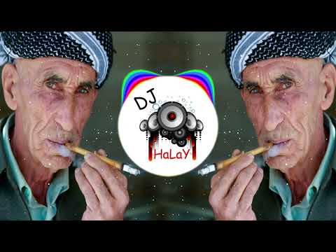 Dj Halay Remix | Berfin Berfin Ağır Delilo (Kürtçe Mix Müzik)