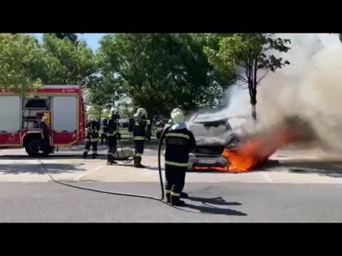 Videó: 14 dolog, ami segíteni fogsz a pókhálóban, a helyes utat