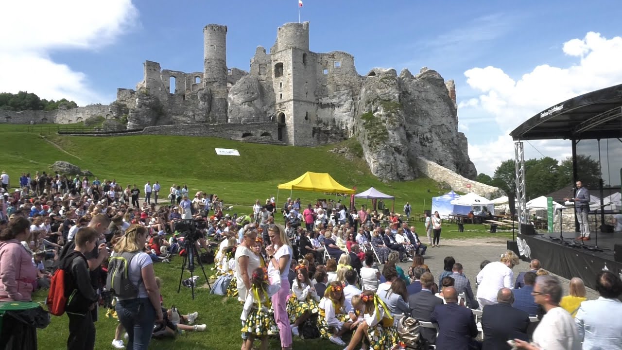 Zielone Pracownie 2022