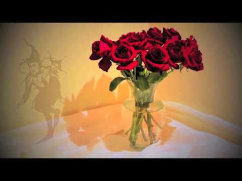 "The Birthday Roses" by Marly Youmans, from THE BO...