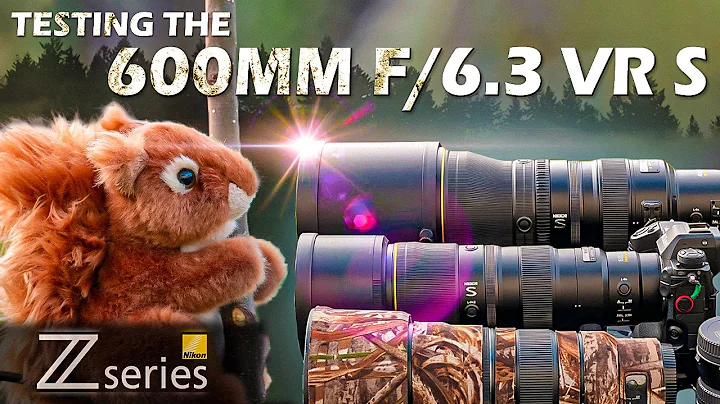 Nikon Z Telephoto Lens Showdown | NEW 600mm f/6.3 VR S vs. 400mm f/4.5 VR S vs. 400mm f/2.8 TC VR S - DayDayNews