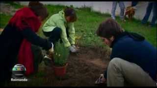 Guerrilla Gardening Vicenza  Bulbami 2011/12  Ponte Pusterla (VI) novembre 2011