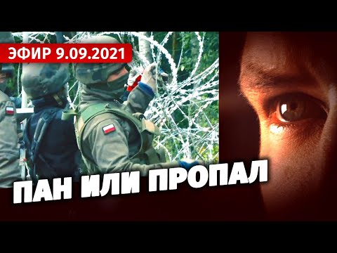 Пан или пропал. Специальный репортаж