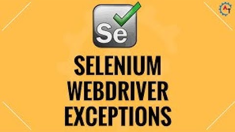 #23. Selenium Exceptions